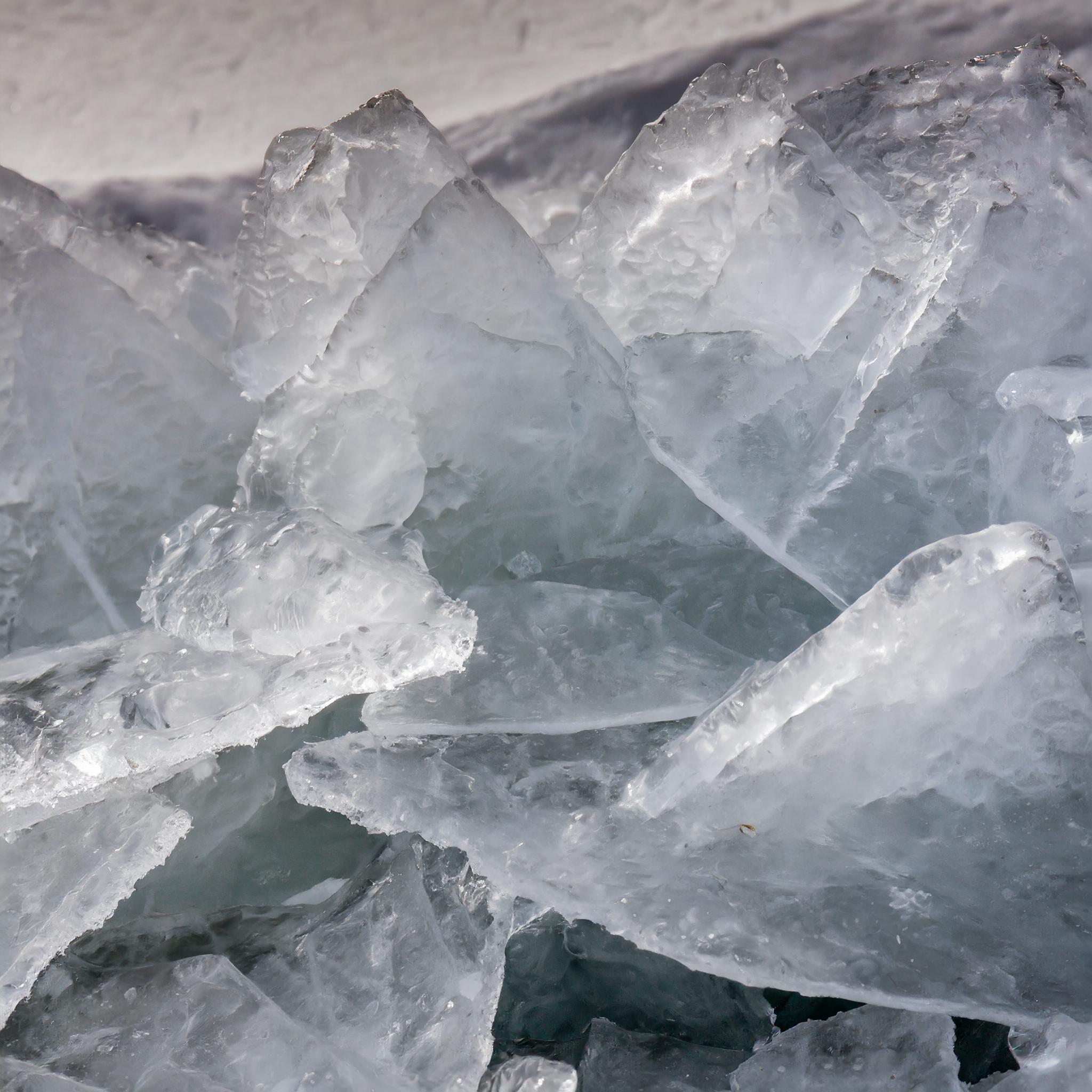 Innovative Eisskulpturen mit außergewöhnlichen Zutaten und Design.